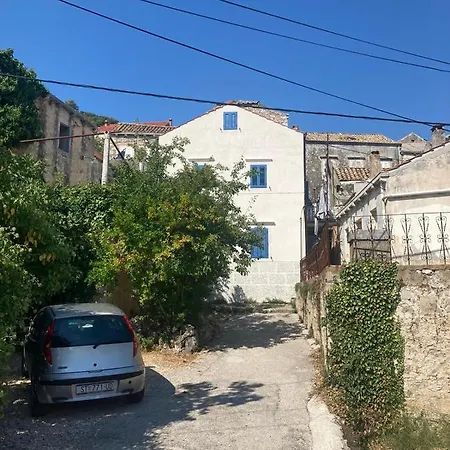 Dalmatinka *