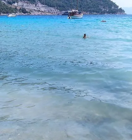 Dalmatinka *